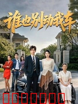 谁也别动我车