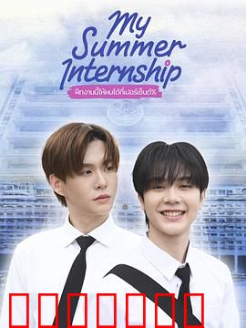 我的夏日实习