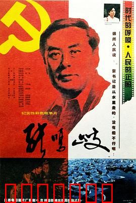 张鸣岐